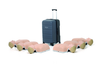 Laerdal Little Anne Manikin 6-Pack, LIGHT