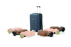 Laerdal Little Anne Manikin 6-Pack Combo, 3 Dark/3 Light