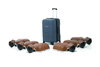Laerdal Little Anne Manikin 6-Pack, DARK